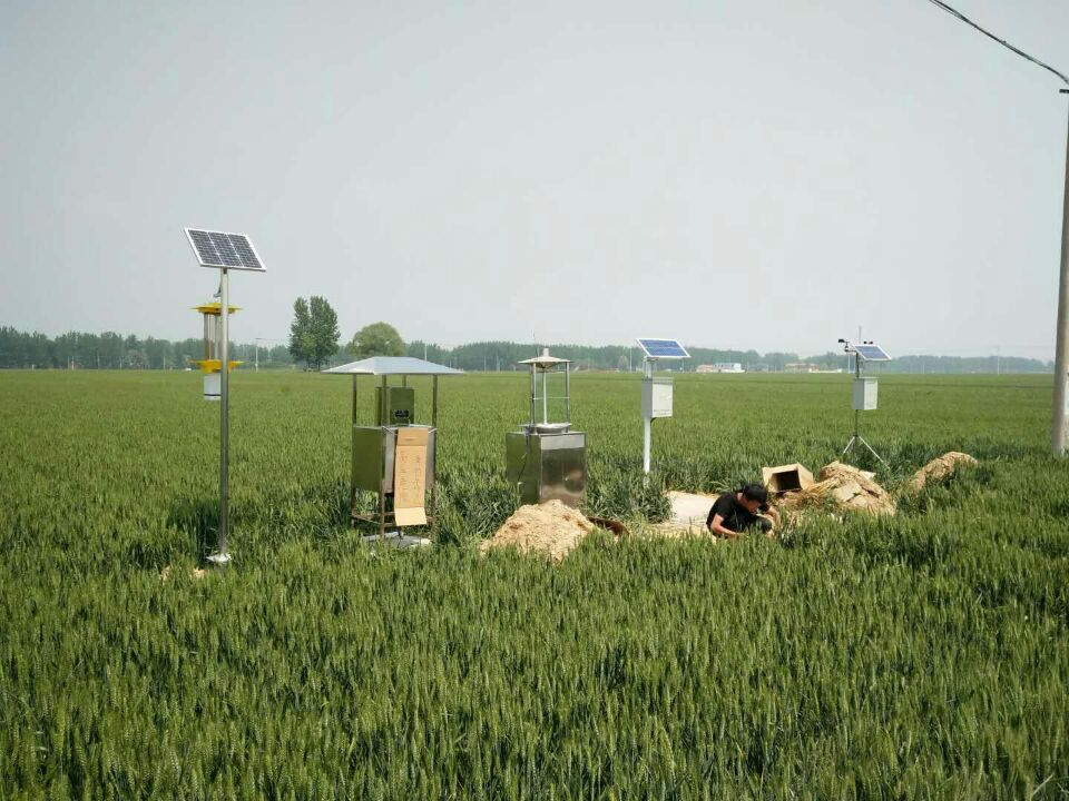 利津縣采用太陽能殺蟲燈綠色殺蟲