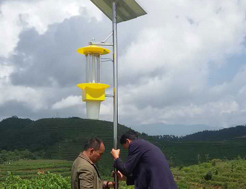 殺蟲燈在烤煙行業(yè)中的應(yīng)用效果對(duì)比分析