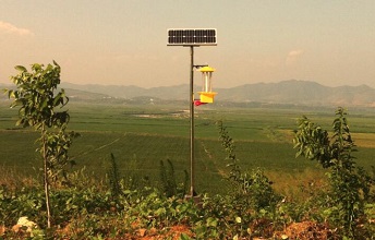 云飛草原殺蟲(chóng)燈