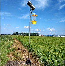 正確合理使用殺蟲燈的建議