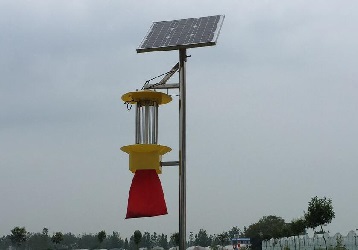 云飛太陽能殺蟲燈保護(hù)銀杏樹健康