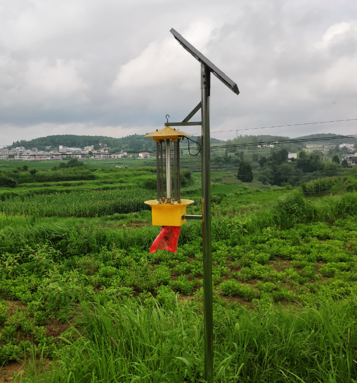 云飛太陽能殺蟲燈