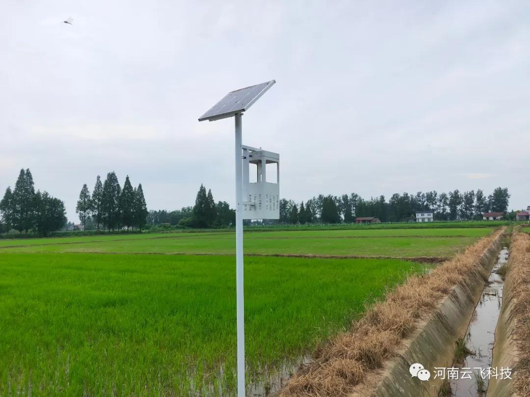 云飛風(fēng)吸式太陽能殺蟲燈