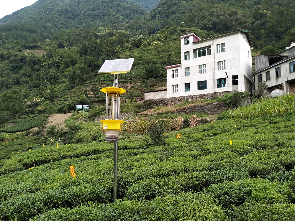 云飛自動(dòng)清蟲太陽能殺蟲燈