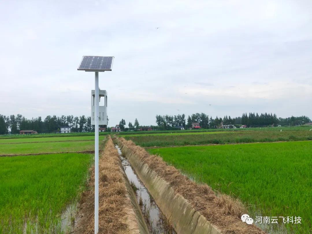 云飛太陽(yáng)能風(fēng)吸式殺蟲(chóng)燈