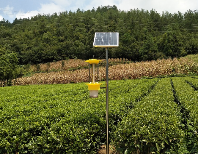 云飛自動(dòng)清蟲(chóng)太陽(yáng)能殺蟲(chóng)燈